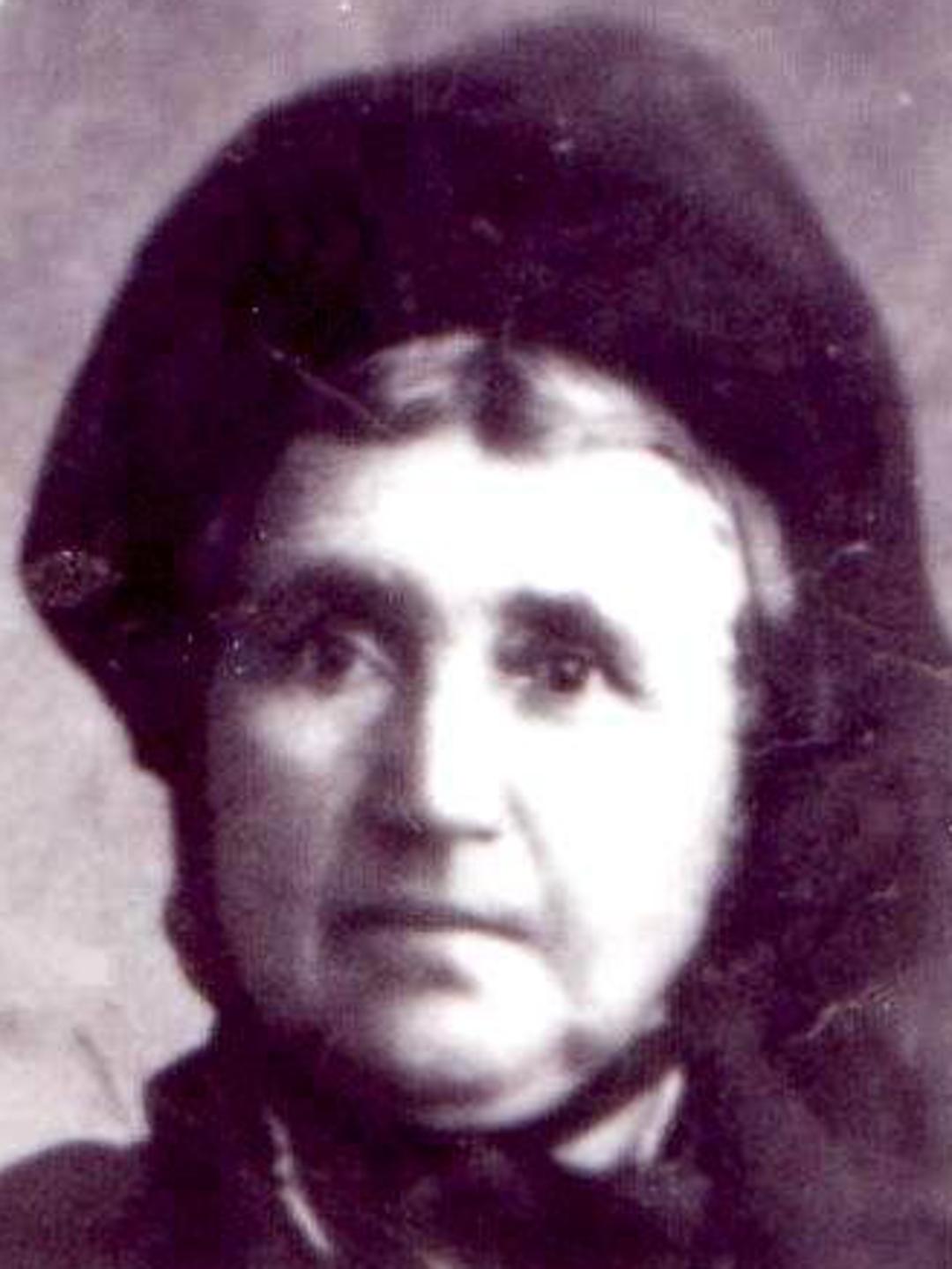 Agnes Ann Morgan (1831 - 1915) Profile